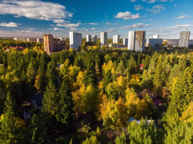 üstten görünüm sonbahar orman ile Moskova'nın Ekolojik temiz bir alan üzerinde. Rusya