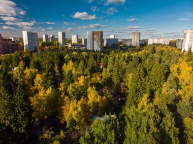 üstten görünüm sonbahar orman ile Moskova'nın Ekolojik temiz bir alan üzerinde. Rusya