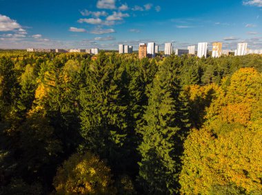 üstten görünüm sonbahar orman ile Moskova'nın Ekolojik temiz bir alan üzerinde. Rusya
