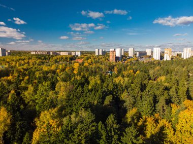 üstten görünüm sonbahar orman ile Moskova'nın Ekolojik temiz bir alan üzerinde. Rusya