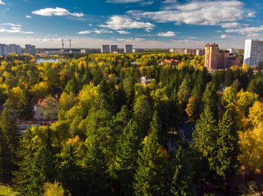 üstten görünüm sonbahar orman ile Moskova'nın Ekolojik temiz bir alan üzerinde. Rusya
