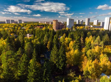 üstten görünüm sonbahar orman ile Moskova'nın Ekolojik temiz bir alan üzerinde. Rusya