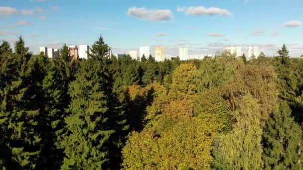 Россия. спальная зона Москвы, окруженная лесами — стоковое видео