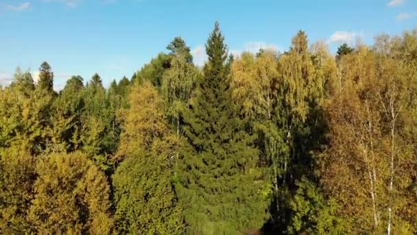 Вид зверху на екологічно чистій зоні Москви з осіннього лісу. Росія — стокове відео