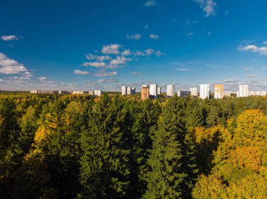 Rusya. alan ormanlarla çevrili bir Moskova uyku