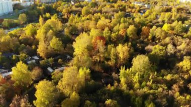 Moskova Rusya'nın eteklerinde sonbahar orman üzerinde uçuş