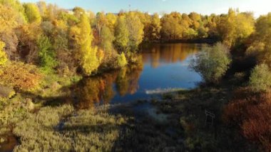 Nizhny Kamensky gölet Moskova Zelenograd yönetim İlçesi'nde Güz. Rusya