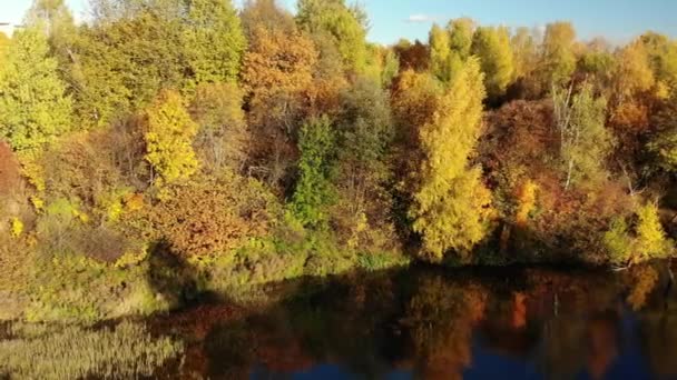 Nizhny Kamensky estanque en el otoño en el distrito administrativo de Zelenograd en Moscú. Rusia — Vídeo de stock