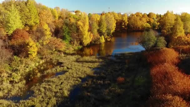 Nizhny Kamensky pond in autumn in Zelenograd in Moscow. Russia — Stock Video