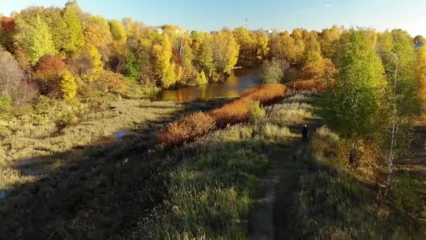 Nizhny Kamensky pond in autumn in Moscow. Russia — Stock Video