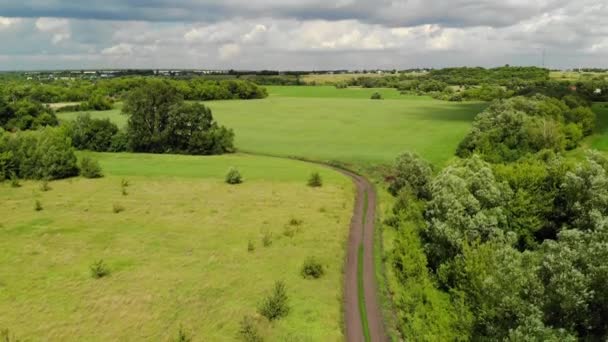 Krajobraz letni Z polem, drogą i drzewami w Rosji — Wideo stockowe