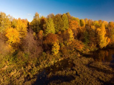 Altın Sonbahar ve büyümüş su birikintisi ile manzara
