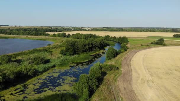 일반 강 및 러시아에서 7 월에 연못을 통해 비행 — 비디오