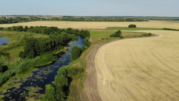 Vlucht over de vlakte met rivier en vijver in juli in Rusland — Stockvideo