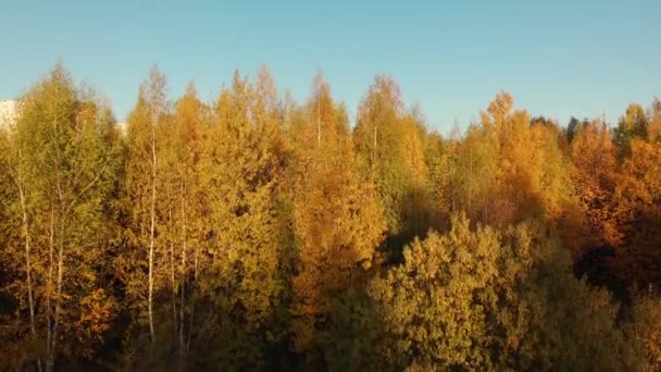 Zelenograd district van Moskou in de herfst op de zonsondergang, Rusland — Stockvideo