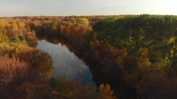 在俄罗斯莫斯科 Izmaylovo 公园和池塘上空飞行 — 图库视频影像
