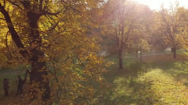 Moskva, Ryssland - 14 oktober. 2018. Izmaylovo Park och damm traditionella plats promenader moskoviter — Stockvideo