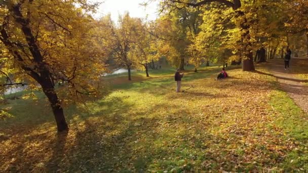 俄罗斯莫斯科-10月14日。2018. Izmaylovo 公园和池塘传统的地方散步莫斯科人 — 图库视频影像