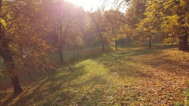 Mosca, Russia - 14 ottobre. 2018. Parco Izmaylovo luogo tradizionale passeggiate moscoviti — Video Stock