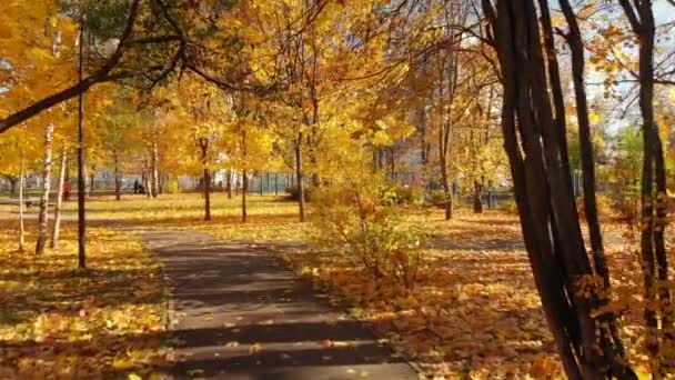 Москва, Россия - 17 октября. 2018 год. Осенний лиственный парк в ясный день в Зеленограде — стоковое видео