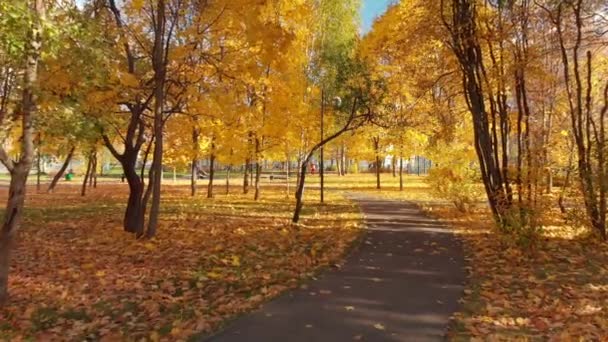 Moskva, Ryssland - 17 oktober. 2018. höstens lövfällande park klar dag i Norrtälje — Stockvideo