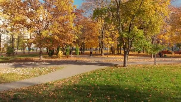 Moscú, Rusia - 17 de octubre. 2018. Parque de otoño en día claro en Zelenograd — Vídeo de stock