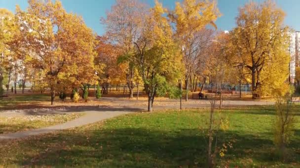 Mosca, Russia - 17 ottobre. 2018. Parco autunnale a Zelenograd — Video Stock