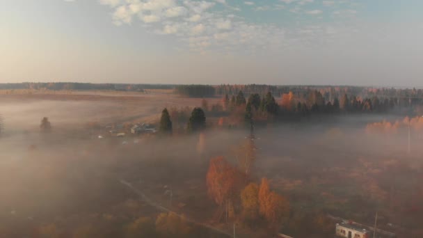 Εξοχή την ομίχλη το πρωί στη Ρωσία — Αρχείο Βίντεο