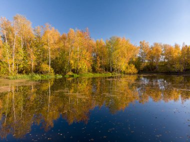 Rus sonbahar yatay, bir ağaç, gölet ve yansıma