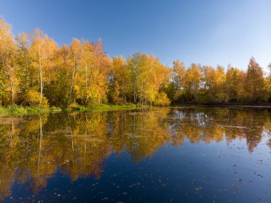 Rus sonbahar yatay, bir ağaç, gölet ve yansıma