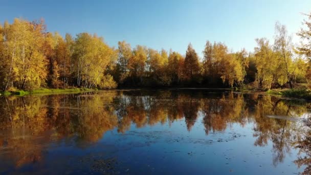 Paysage d'automne russe avec bouleaux, étang et réflexion 