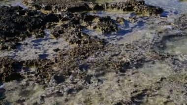 Stony kıyısı açıklarında Akdeniz'e Kıbrıs adasında yakınındaki