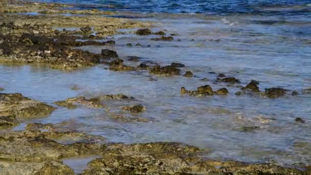 Água limpa do Mediterrâneo com pedra — Vídeo de Stock