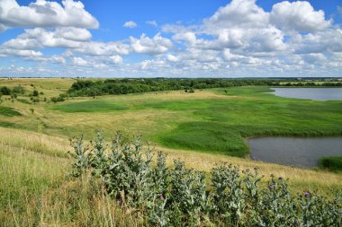 Bir göl ile kırsal manzara güzel yaz