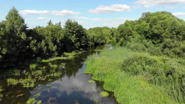 Mouvement de côté sur une petite rivière en été en Russie — Video