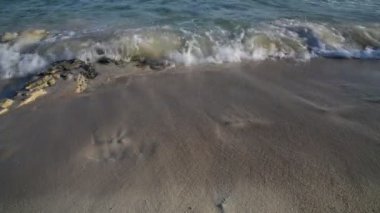 dalgalar deniz kum, Kıbrıs