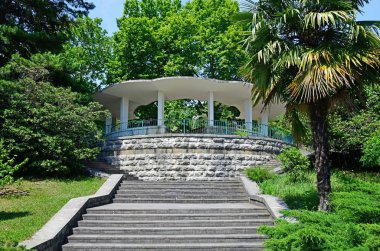 Sochi, Rusya Federasyonu - 5 Haziran. 2018. Merkezi sokakta park Botanik Bahçesi