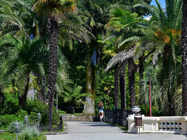 Sochi, Russia - June 5. 2018. Arboretum - unique collection of subtropical flora and fauna — Stock Photo, Image