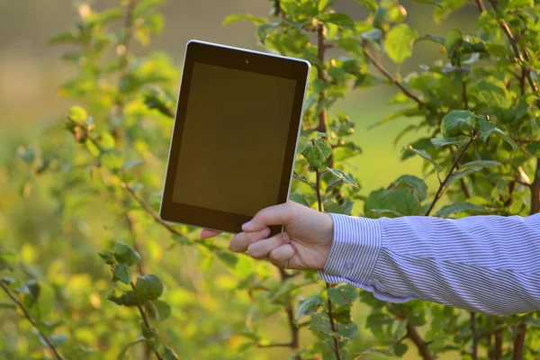Tablet computador em crianças mão sobre a natureza — Fotografia de Stock