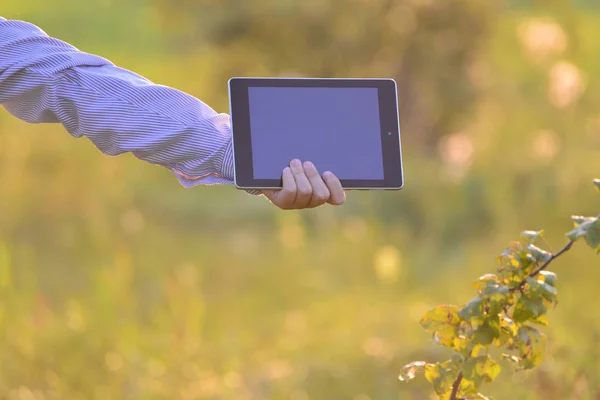 Tablet computador em crianças mão sobre a natureza — Fotografia de Stock