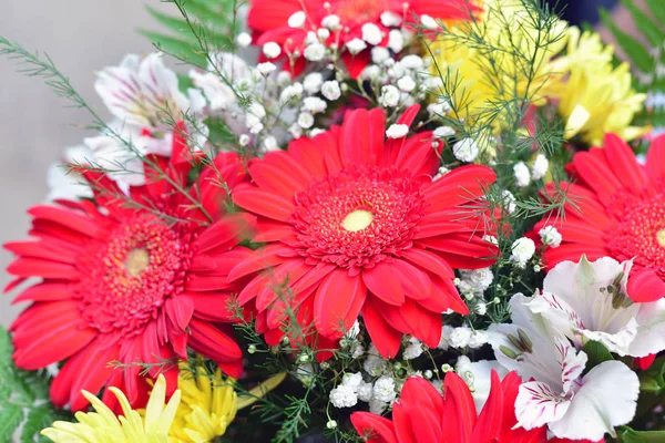 Bouquet de chrysanthèmes jaunes, gerbera rouge — Photo