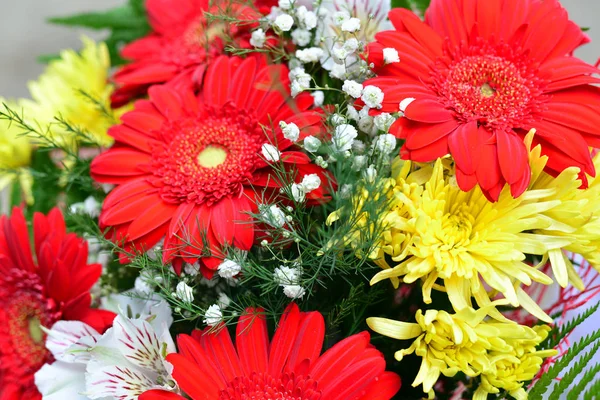 Bouquet de chrysanthèmes jaunes, gerbera rouge — Photo