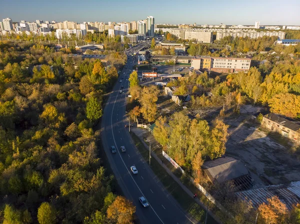 Ein Herbstlicher Laubwald Bei Zelenograd Russland — Stockfoto