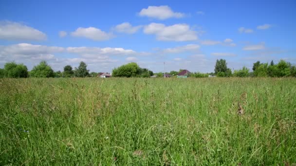 Hermosa hierba del prado en Rusia. Casas rurales en el horizonte — Vídeos de Stock