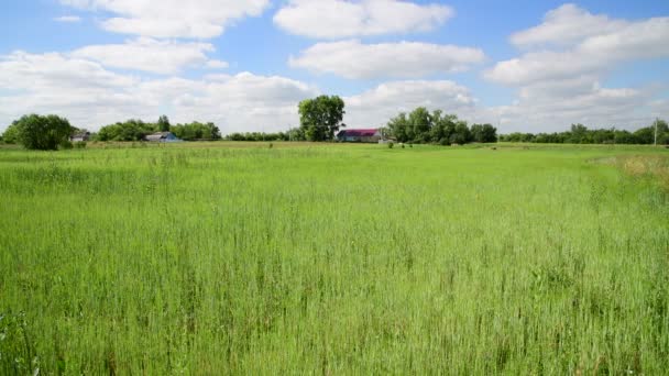 Vacker natur på landsbygden i Ryssland — Stockvideo