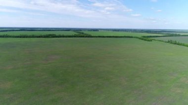 Rusya'nın Haziran ayında bitkileri alanıyla görünümünü