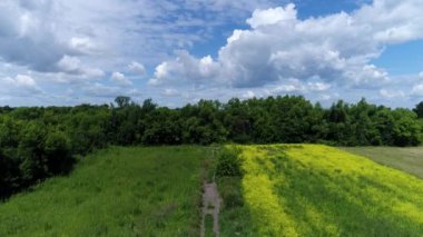 Rusya bir yaz gününde güzel bir gökyüzü ile kırsal manzara