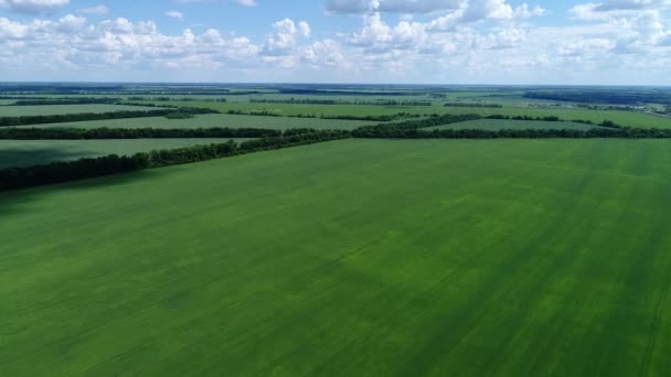 Weergave van de grote agrarische velden in Rusland van bovenaf — Stockvideo