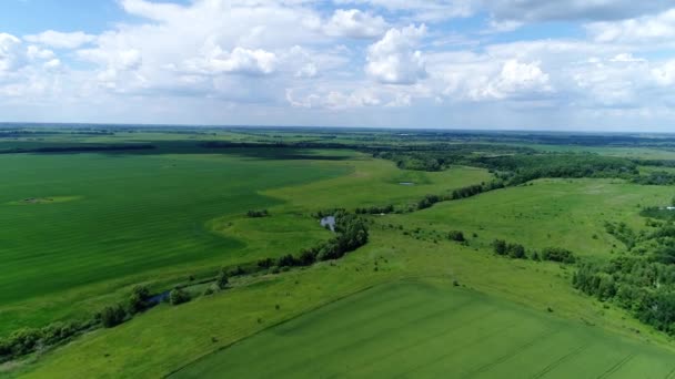 Vue des vastes champs agricoles en Russie d'en haut — Video