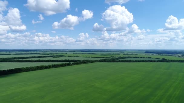 Weergave van de grote agrarische velden in Rusland van bovenaf — Stockvideo